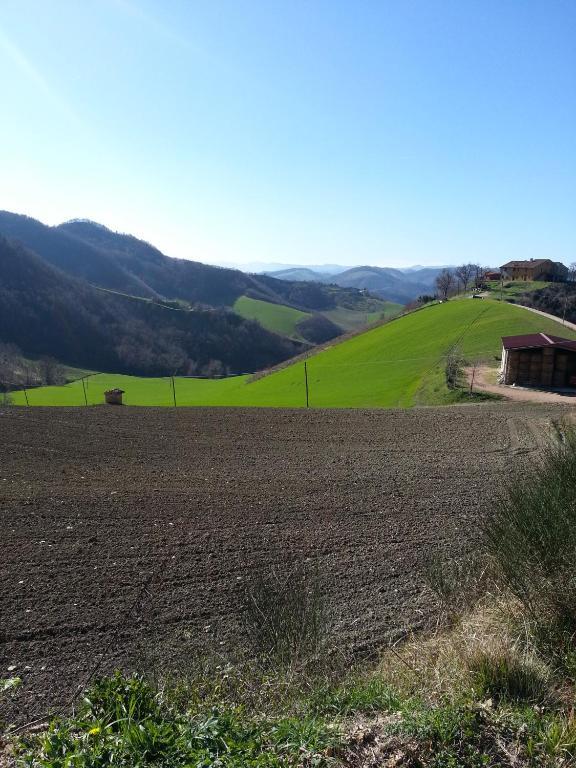 Girfalco Country House Acomodação com café da manhã Urbino Exterior foto
